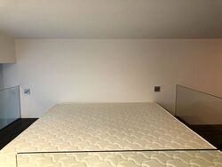 The Scotts Tower (D9), Condominium #349316461